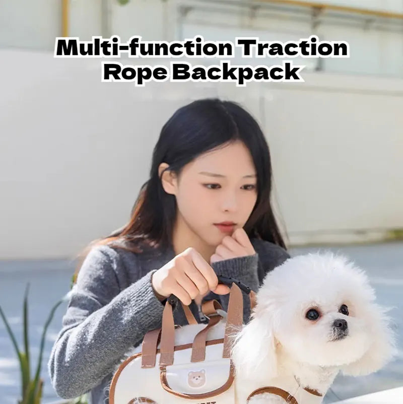 Portable Breathable Dog & Cat Carrier Backpack
